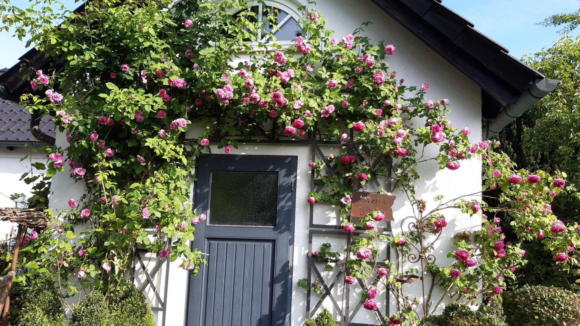 Tina'S Home Gutersloh Bagian luar foto